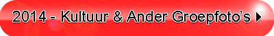 2014 Kultuur & ander